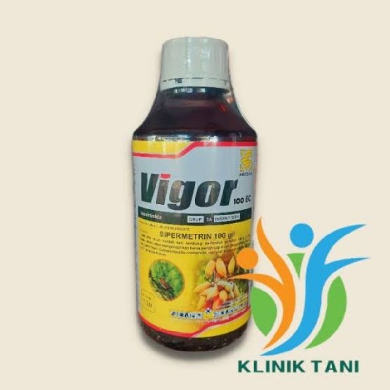 vigor 100 ec