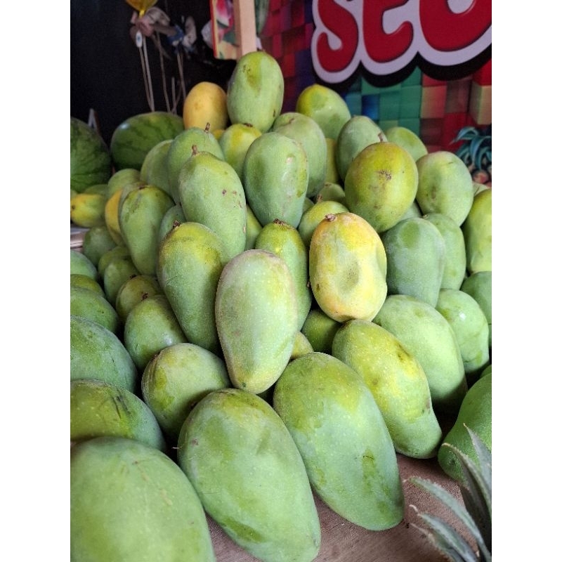 

Mangga harum manis