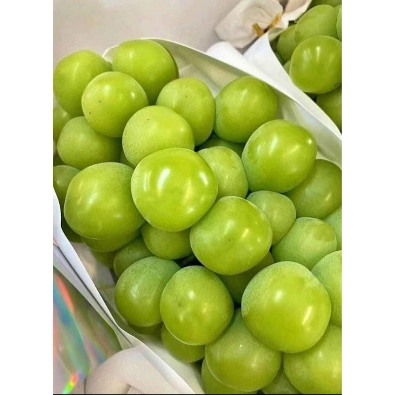 

buah anggur muscatt premium anggur hijau 1 kg