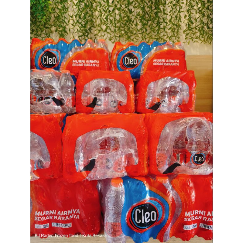 

cleo mini 220ml