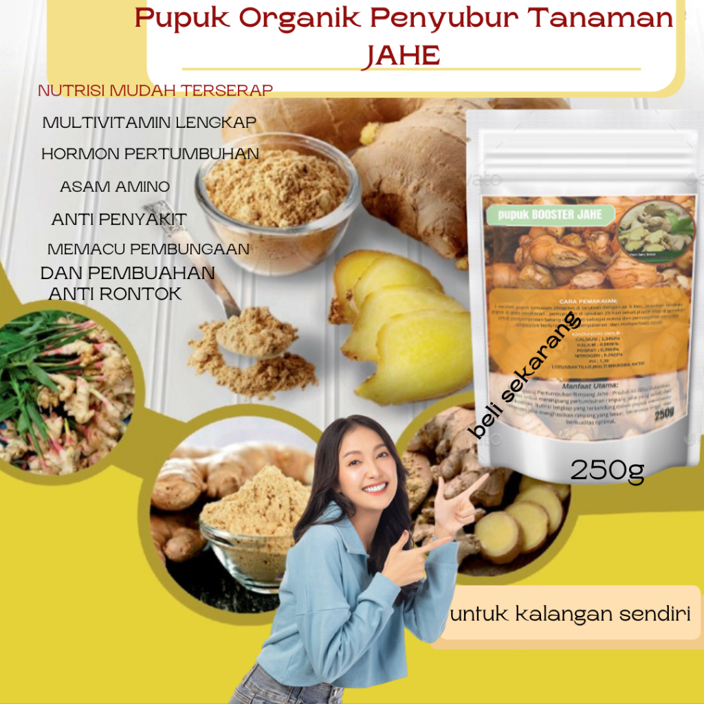 Pupuk Pemebesar Umbi Jahe Pupuk Jahe Merah Pupuk Jahe Emprit Pupuk Jahe Putih