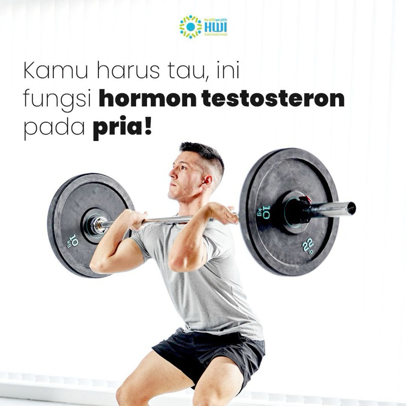 Numaca akar maca hormon dan stamina