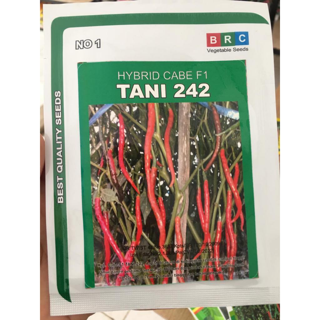 BENIH CABE F1 TANI 242
