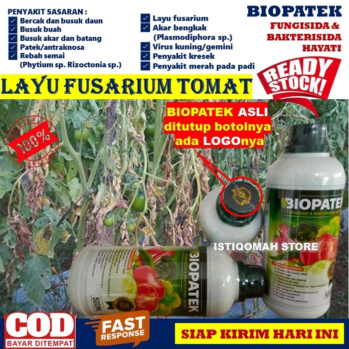 BIOPATEK 500ML Fungisida Hayati Obat Hama Mengatasi Layu Fusarium pada Tanaman Tomat Paling Ampuh & 