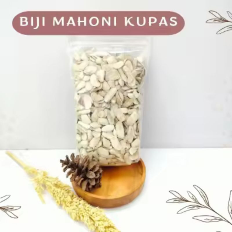 

biji mahoni kupas kering kualitas bagus 500gr