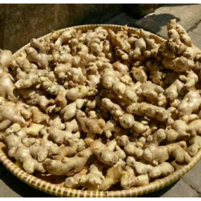 

PROMO JAHE 500 GRAM _1KELO SAJIAN HERBAL