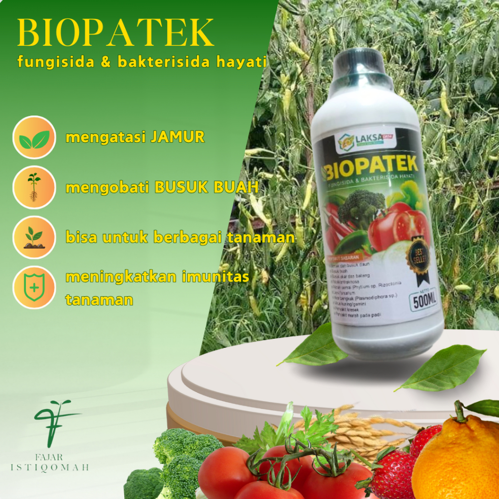 OBAT layu fusarium pada cabe BIOPATEK fungisida hayati 500ml, obat layu fusarium cabai, obat layu