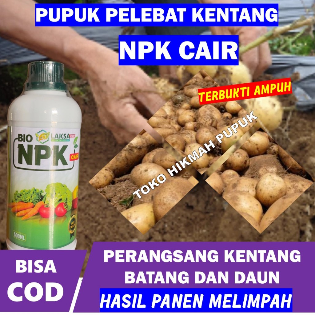 PROMO Pupuk NPK PEMBESAR BUAH KENTANG - NPK CAIR LAKSA 500 ML Merimbunkan Buah Kentang Obat Semprot 