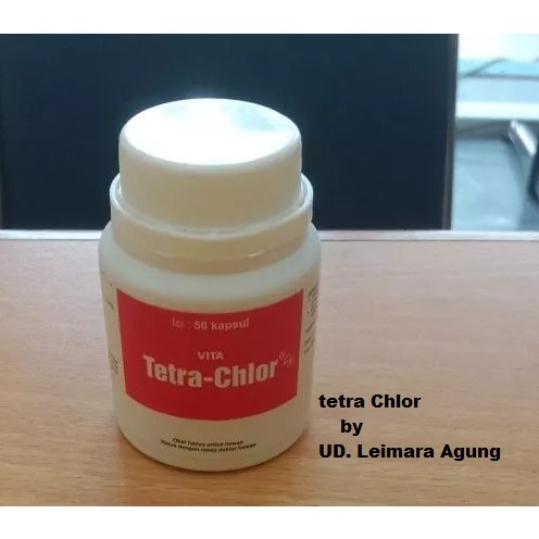 TETRA CHLOR 50 KAPSUL - Tetra Clor Tetra Chlor Ayam Medion Obat Pilek Batuk Snot Ngorok Crd Korisa D