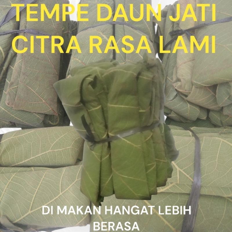 TEMPE DAUN JATI KHAS REMBANG 1 IKAT ISI 10