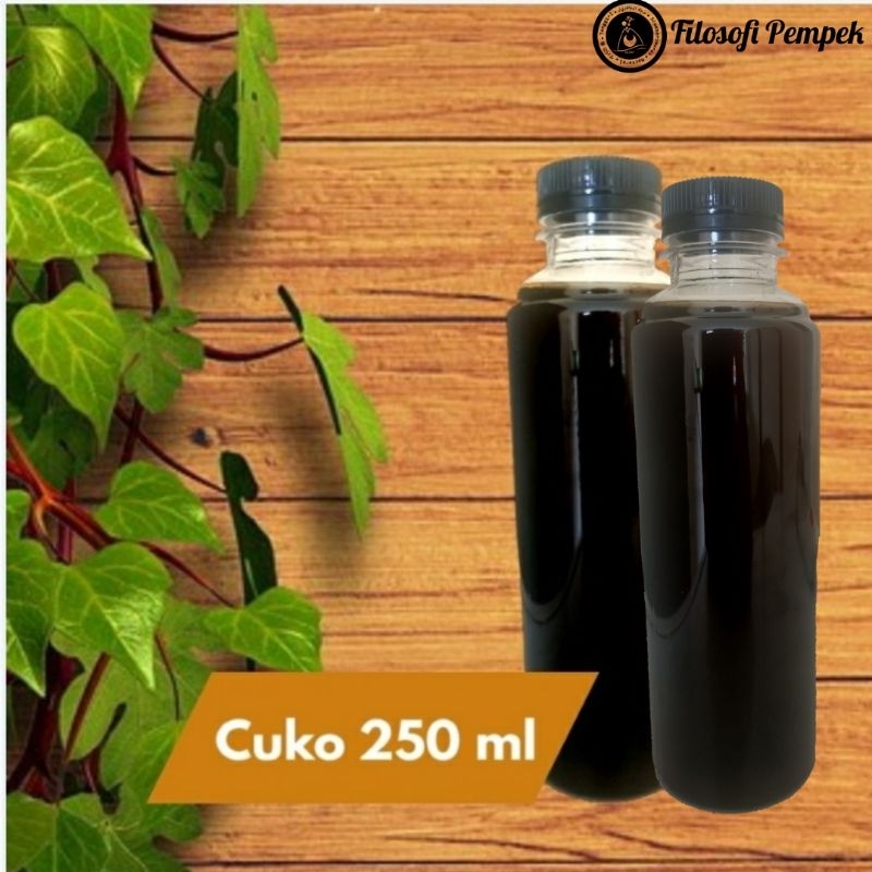 

Cuko Pempek Cair Gula Aren Asli Palembang 250ml