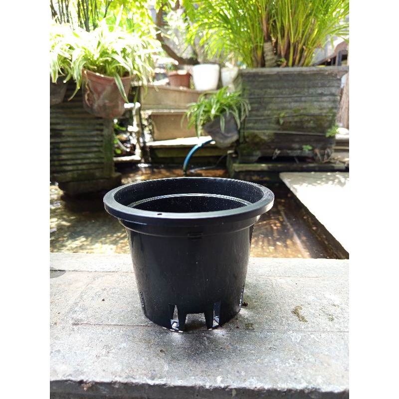Pot anggrek 15 hitam, pot anggrek gantung
