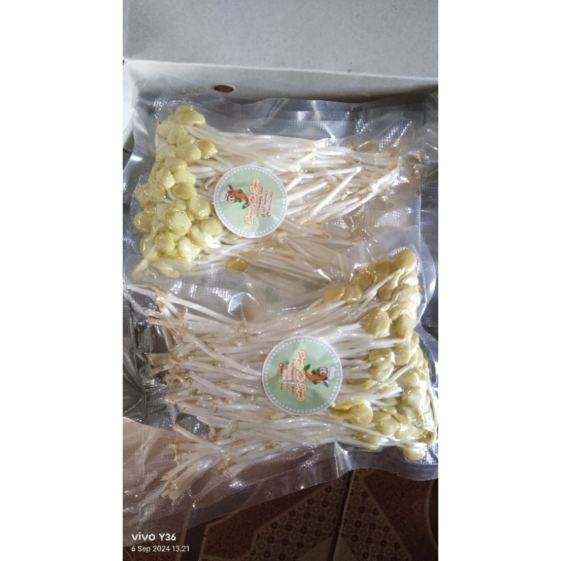 

sayur ale kupas | sayur ale bersih | super murah 50gr