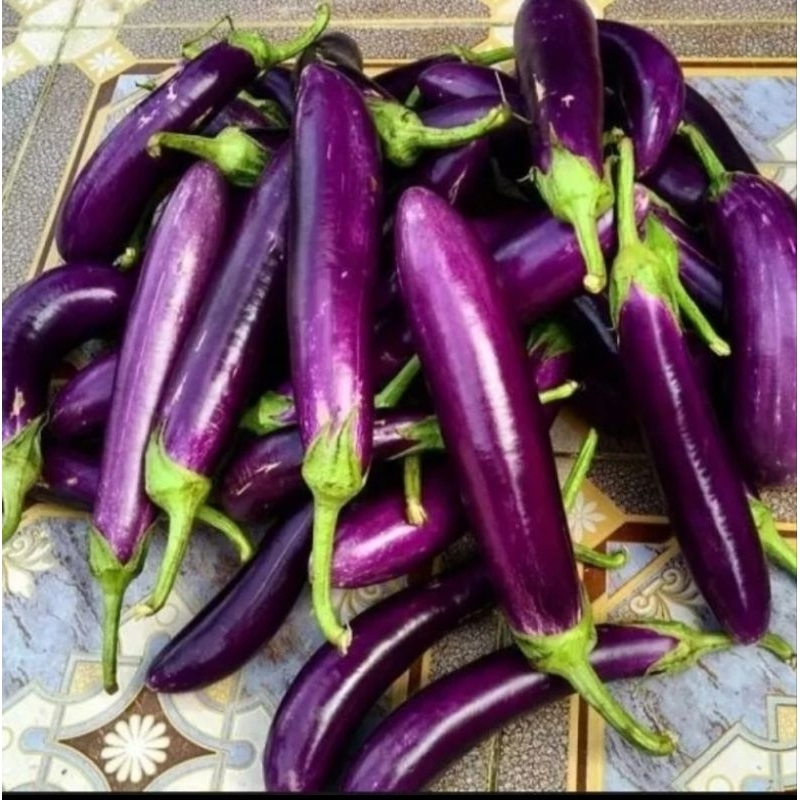 

Terong Ungu Konvensional 500 gram fruits12