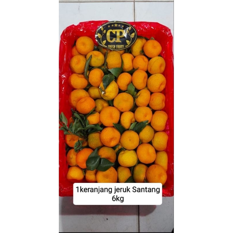 Buah jeruk Santang per 1 keranjang buah fruits12
