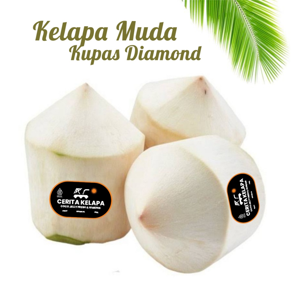 

Kelapa Muda Kupas papas Kerucut Diamond Ala Thailand - Cerita Kelapa