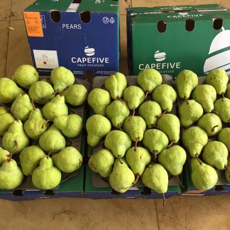 

Buah Pir / Pear Packham Fresh Import 1 Dus / Box / Keranjang SEGAR DAN BERKUALITAS