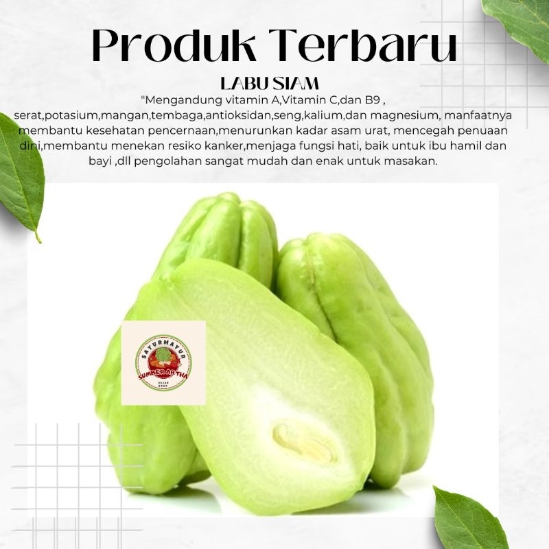 

Sayur Fresh 1Pc Labu Siam Besar super murah fast delivery