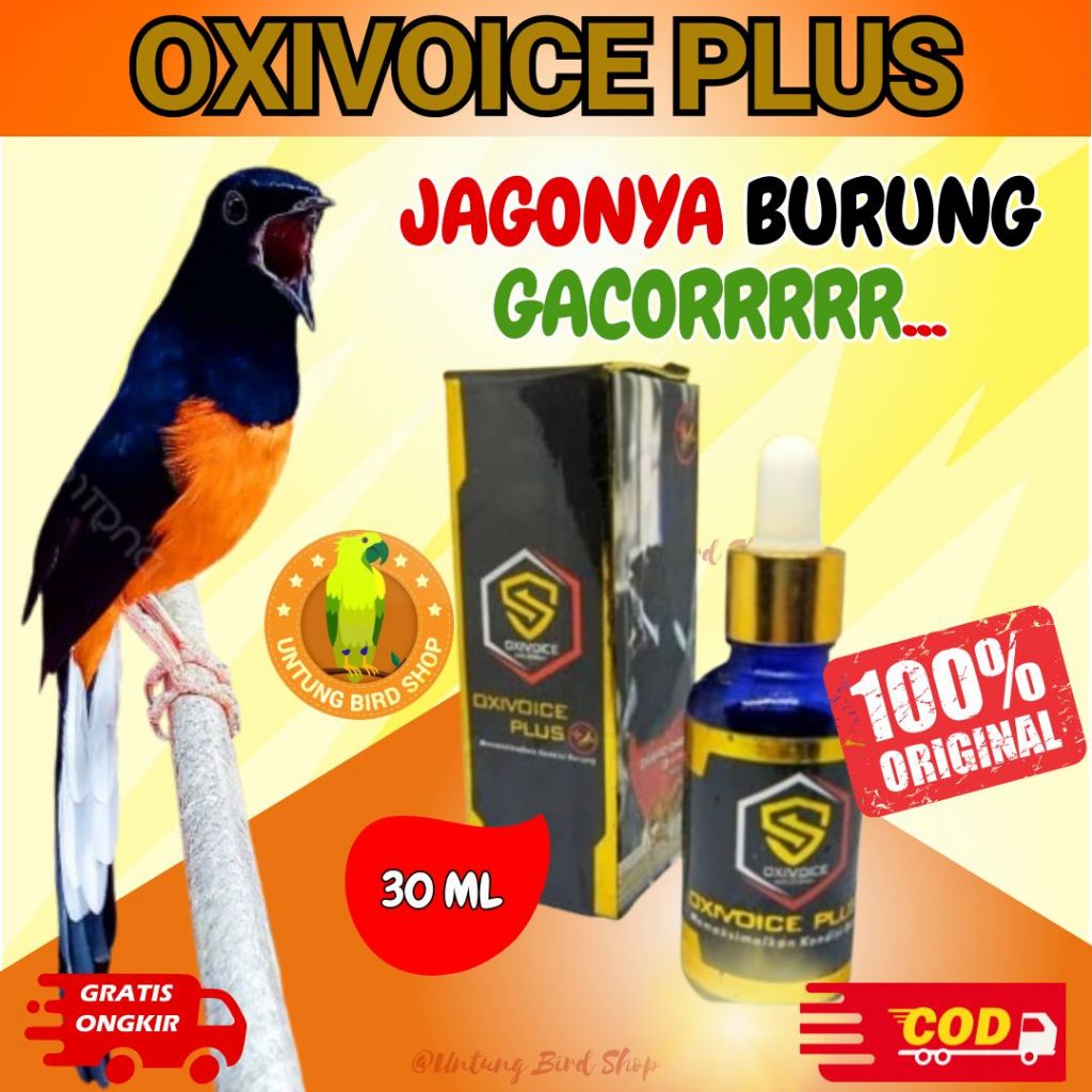 TERMURAH OXIVOICE PLUS Obat Serak Buat Burung Murai Batu Kacer Cucak Ijo Rowo Rawa