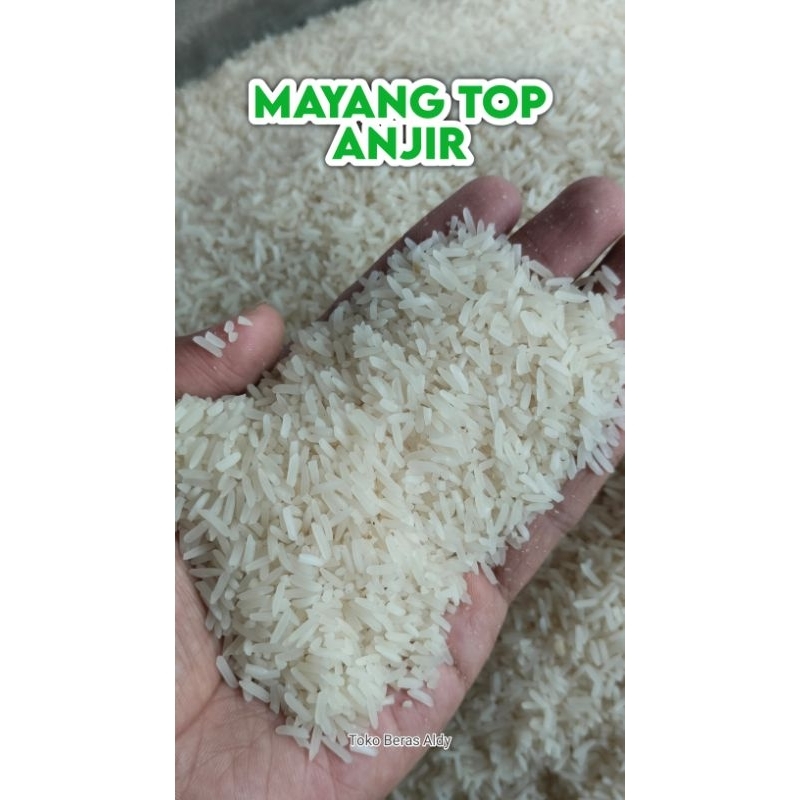 

BERAS MAYANG GAMBUT /BANJAR PERLITER