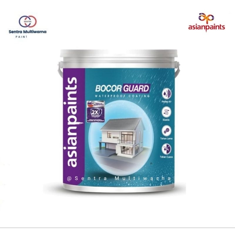 Asian Paint Bocorguard, 4KG