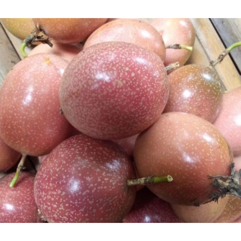

buah markisa ungu per 500 grm