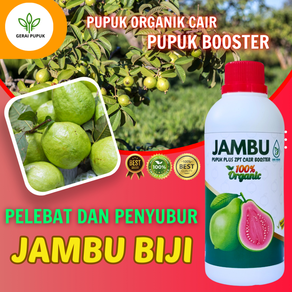 pupuk buah lebat jambu kristal | pupuk organik cair booster pelebat buah tanaman jambu