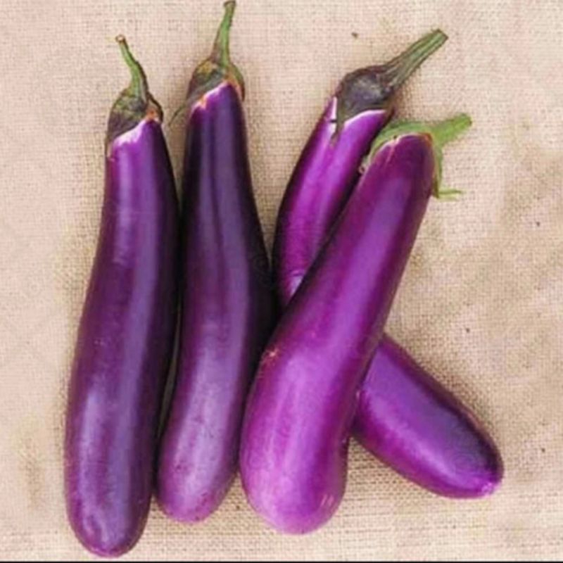 

terong ungu 500gram