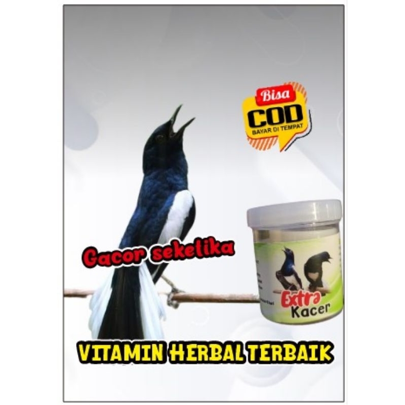 extra Kacer penggacor instan ( Kacer bahan dan macetan cepat gacor) doping herbal Kacer