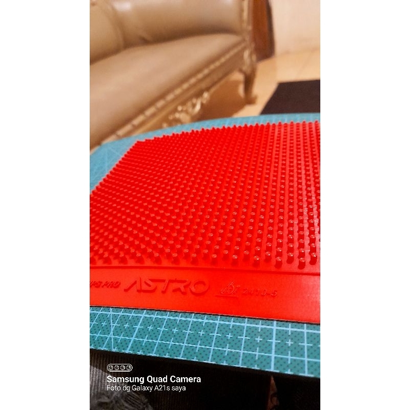 karet bintik panjang ox long pips