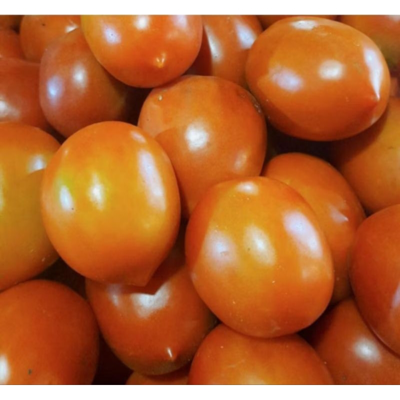 

TOMAT MERAH SEGAR 250 GRAM