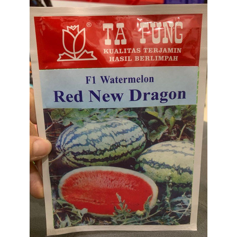 Benih semangka RED NEW DRAGON F1 20 gram benih semangka lonjong semangka hibrida dari tafung ta fung