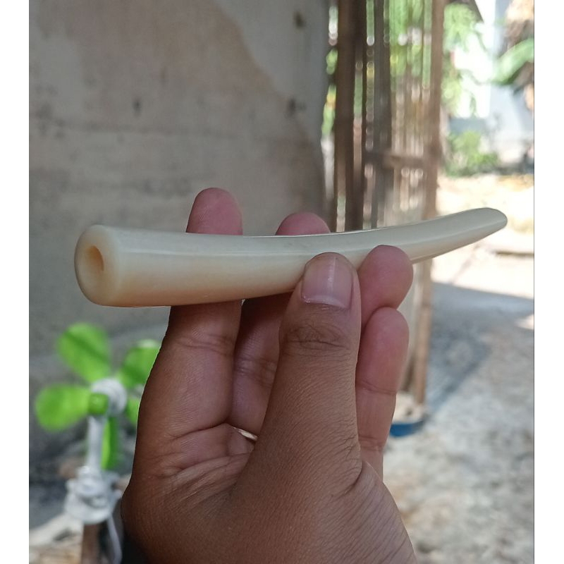 ONCE TULANG SAPI ASLI PANJANG 15-16CM SUEPER PREMIUM