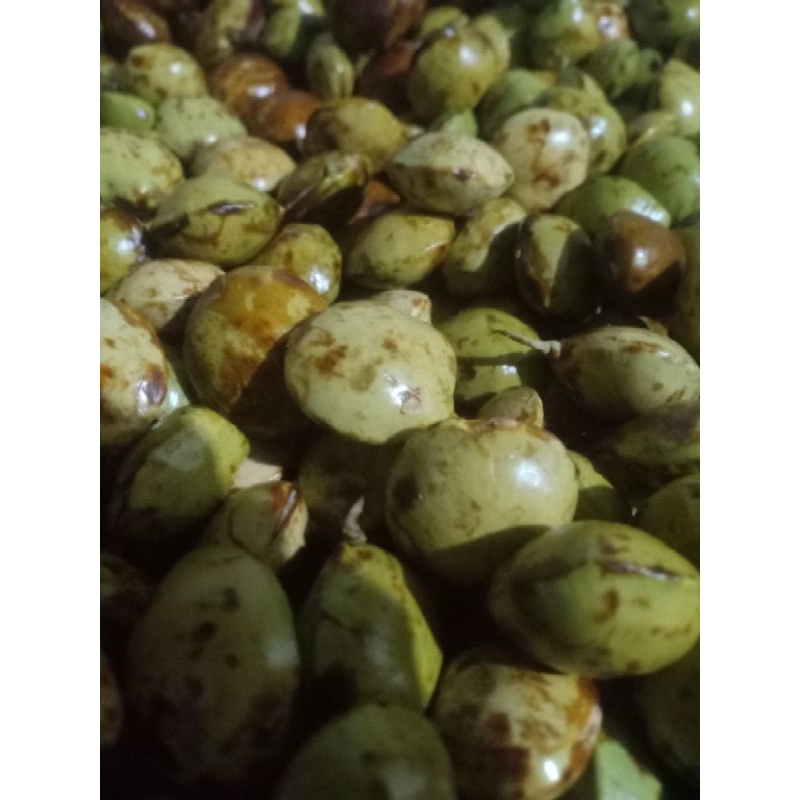 

jengkol tua Fress kemasan 1kg