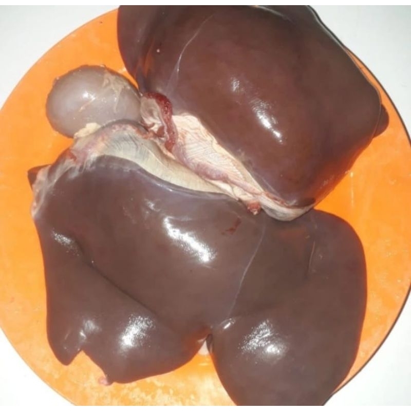 

Hatikambinglokal500gramhalal