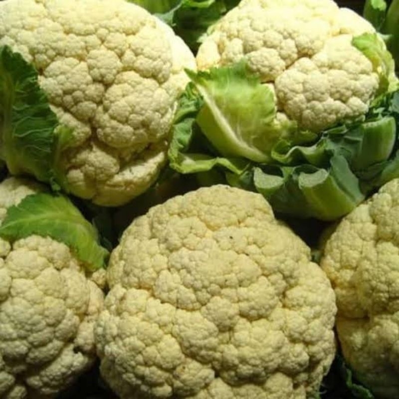 

Kembang Kol Putih 500gram