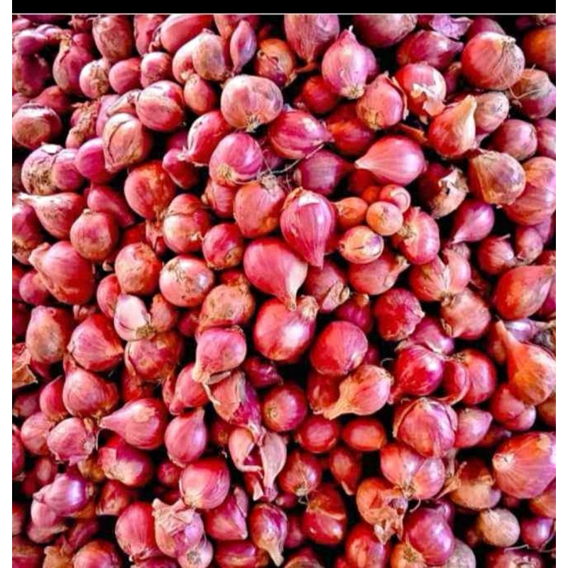 

bawang merah 500gram