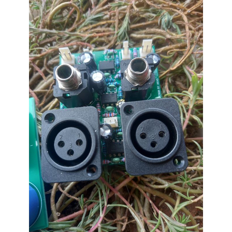 input balance multi suport bok lokal thunder ca axtron