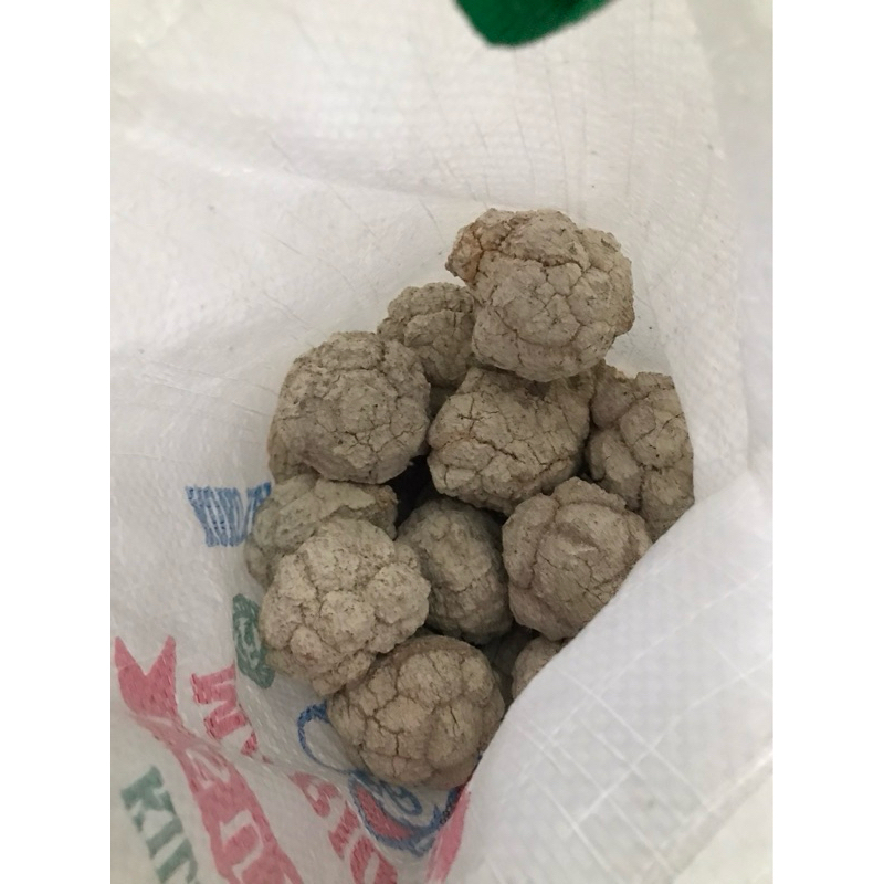 

Jamur Susu Harimau (500gr - 1kg)