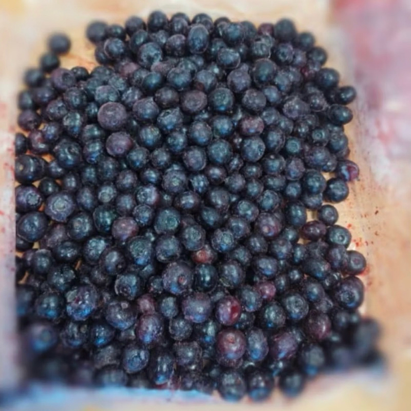 

500gram frozen blueberry / bluberry import / berries IQF