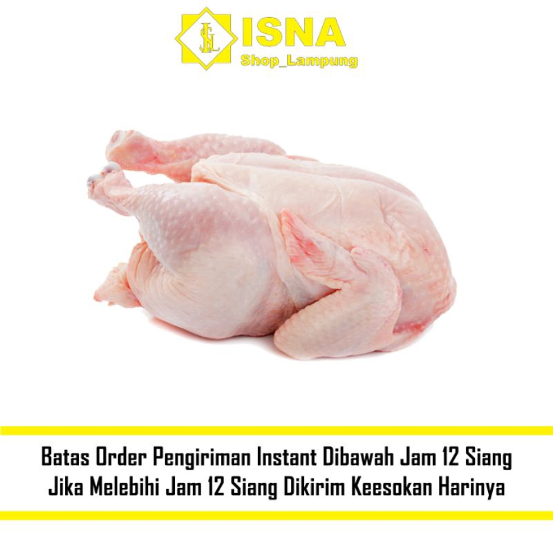 

Ayam Potong Boiler Segar 1 Ekor - Sayur Fresh