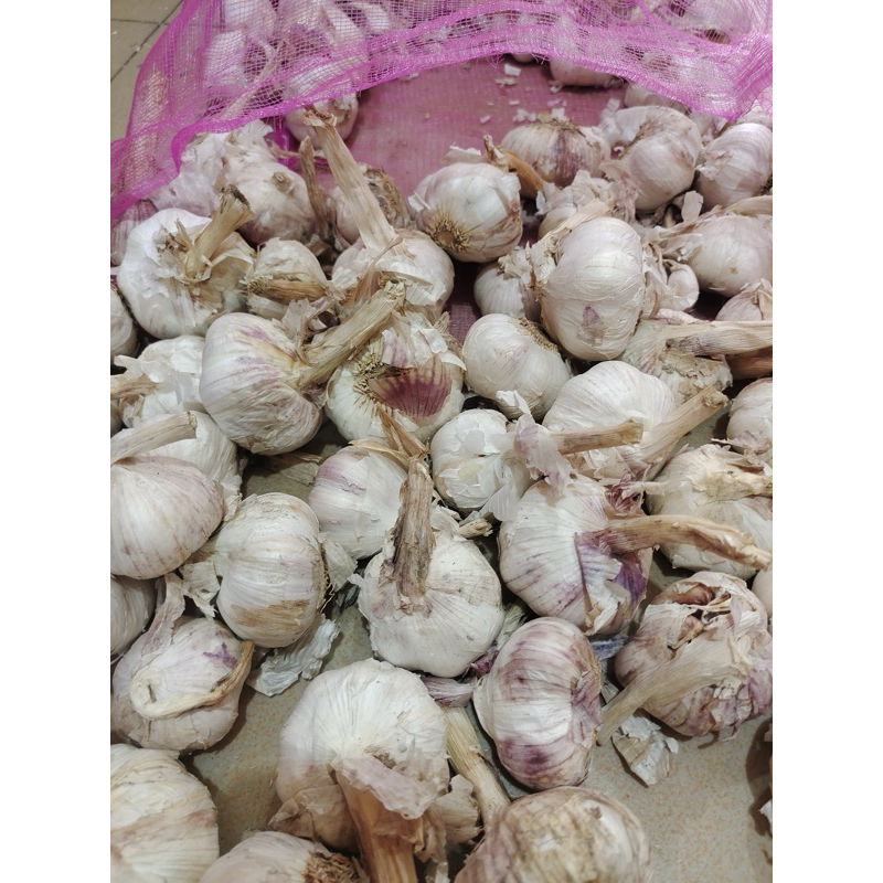 

bawang putih / bawang putih murah