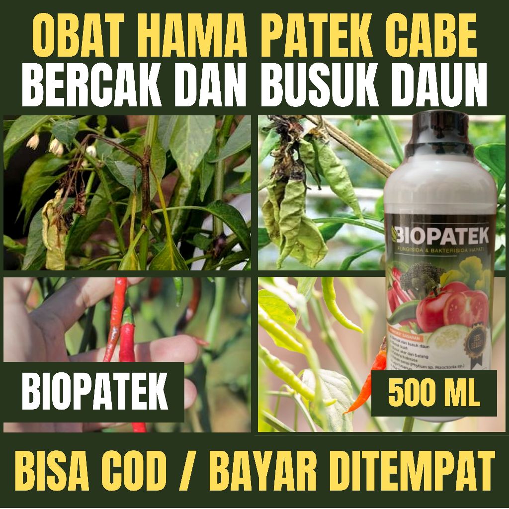 Obat Bercak Busuk daun, Busuk Buah dan Batang Pada Tanaman Cabe BIOPATEK isi 500 ML 100% ORIGINAL