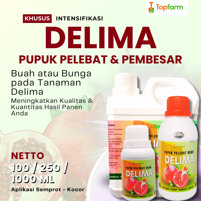 Pupuk Penyubur Buah Delima / Pupuk Buah Delima Berbuah Lebat / Pupuk Pelebat Buah Delima / Pupuk Bua