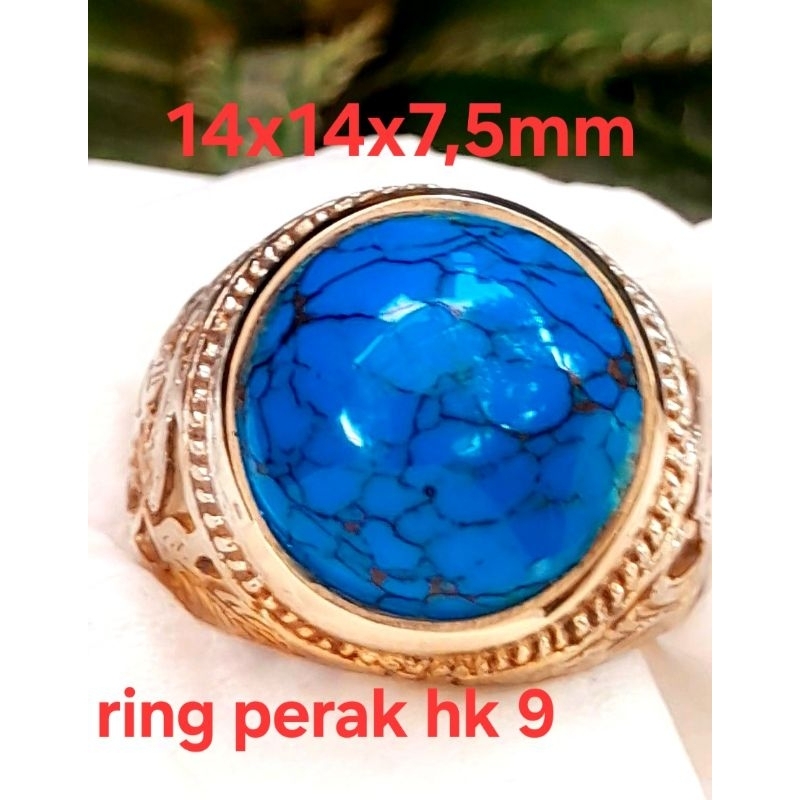 Pirus Persia royal blue ceplok kuro