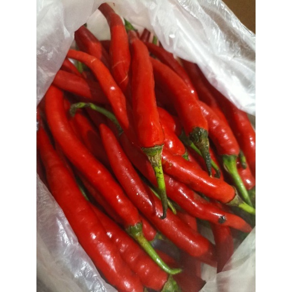 

Cabai Merah Besar Segar Pilihan/Cabe Merah Besar/Cabe Besar