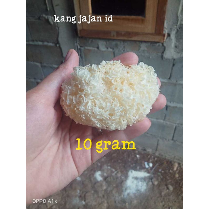 

10 gram jamur salju/kemasan mini/jamur putih)white fugus