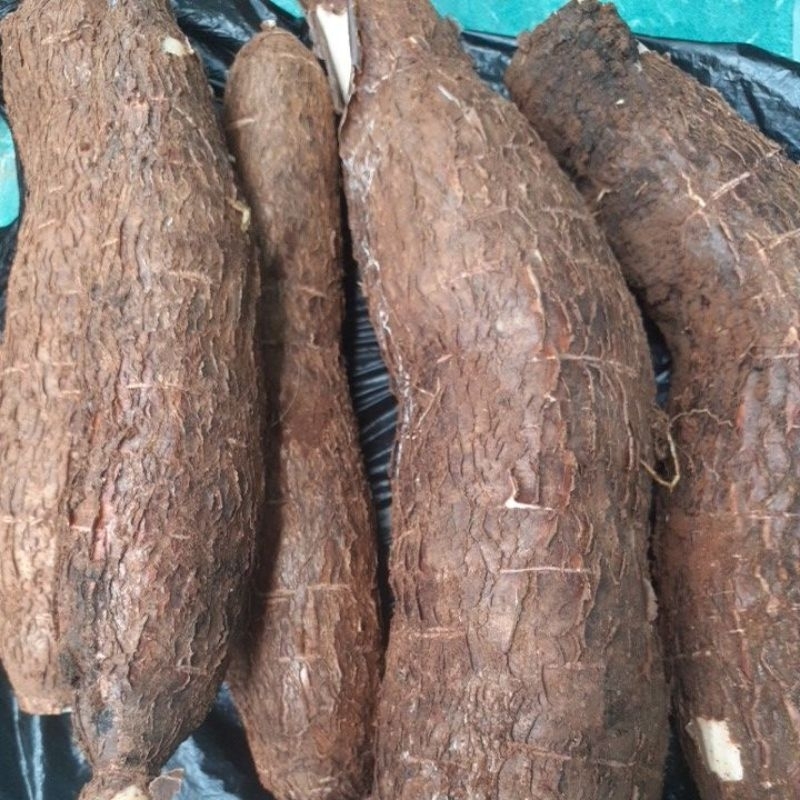 

singkong racun / sapi kuru paket 1 kg