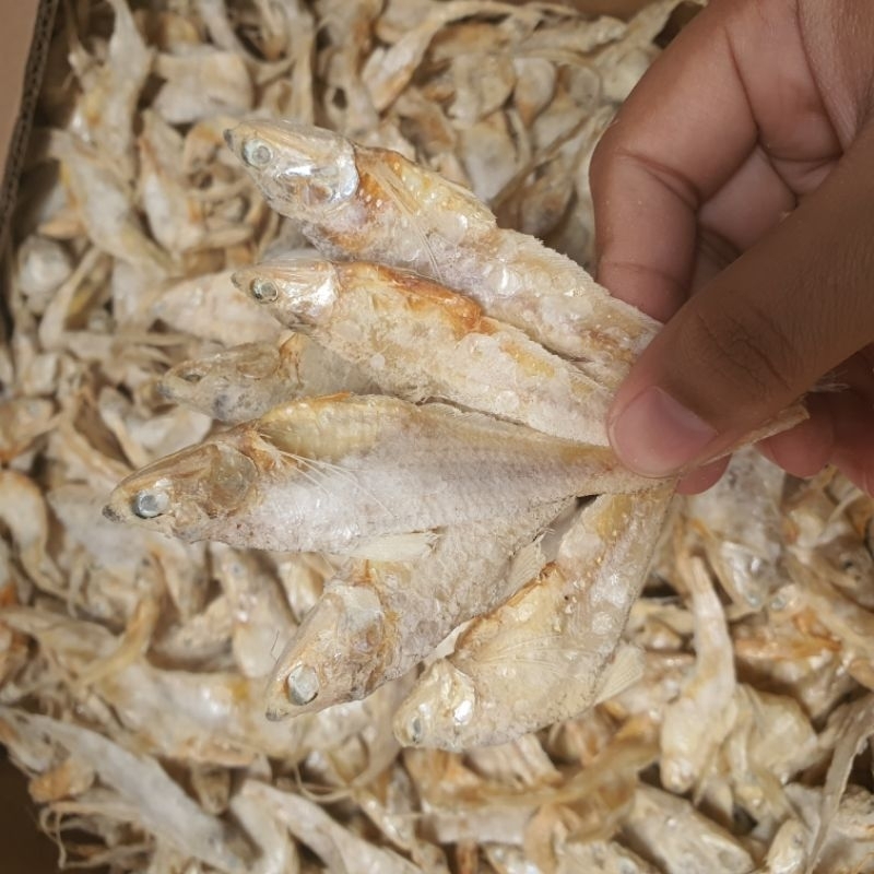 

IKAN ASIN BULU AYAM KERING/IKAN ASIN BULU AYAM SUPER BERAT 250GRAM/ikan asin bulu ayam