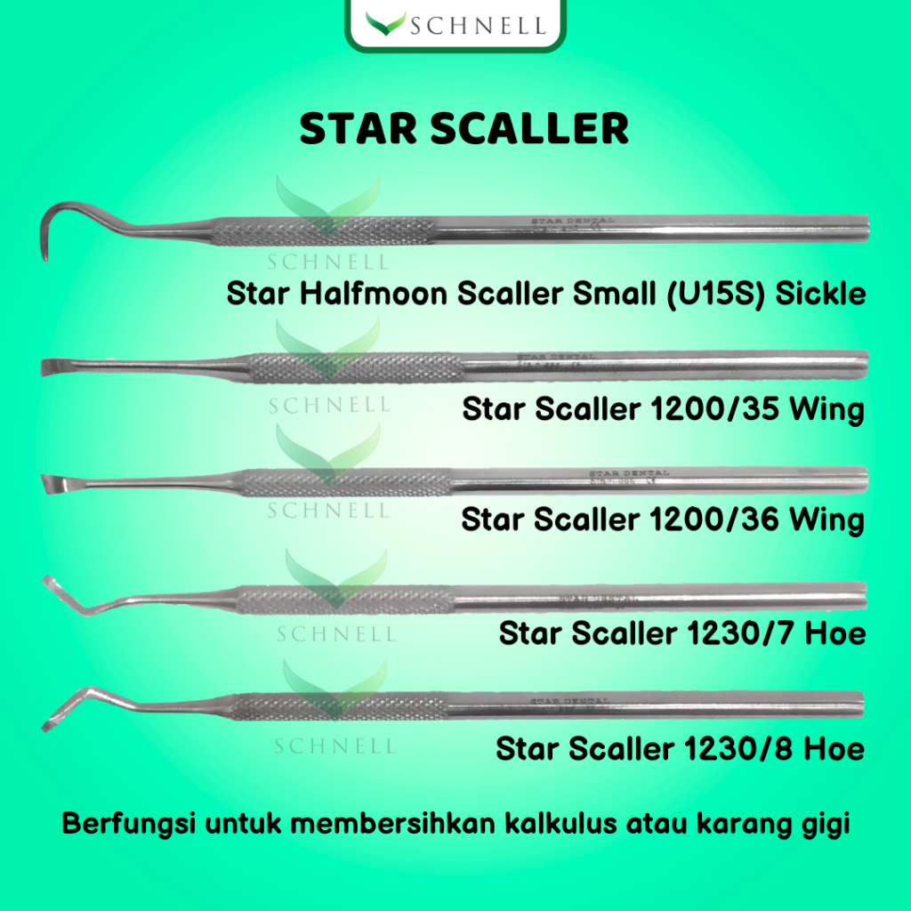 STAR Dental Scaler/ Scaller /Scalling Manual /Alat Scaling Manual - Dental Instruments